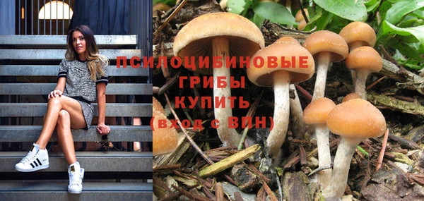 mix Арсеньев