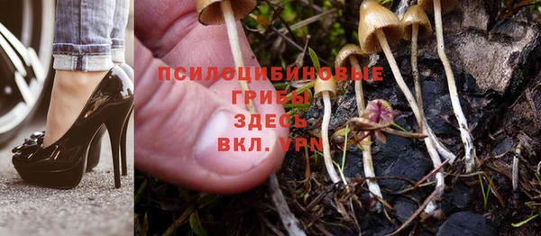 амф Аркадак