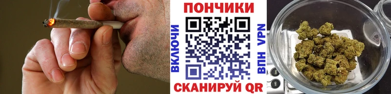 закладка  Шиханы  Бошки марихуана ГИДРОПОН 